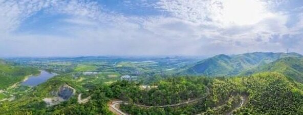 2022大象传媒视频dx-2022年大象传媒视频DX，重塑数字娱乐新纪元