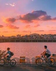 成人免费视频网站-成人内容平台，网络时代的双刃剑