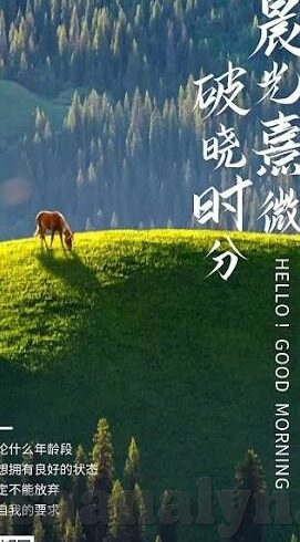 果冻传媒出品张美娜-探索果冻传媒的璀璨新星，张美娜的荧幕之旅