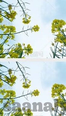 久播影院无码中文字幕-探索影视文化的多元视角，久播影院的无码中文字幕现象