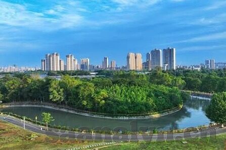 麻豆app在线下载-重建连接，揭开麻豆APP的神秘面纱