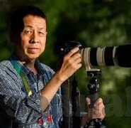 麻豆传媒映画视频在线观看-揭密互联网时代下的传媒现象，麻豆传媒映画视频的线上线下探索
