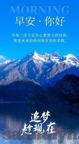 麻豆直播下载APP下载-娱乐新潮流，揭秘麻豆直播APP的魅力与应用