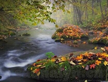 糖心vlog唐伯虎-解锁时光的秘密，糖心Vlog中的唐伯虎之旅