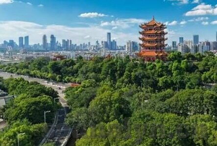 下载糖心app 破解-深入解析糖心APP下载与安全边界
